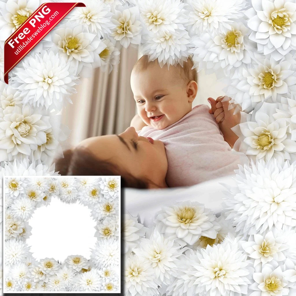 marco para fotos con flores de daffodil o narcisos blancos en png con fondo transparente para descargar gratis
