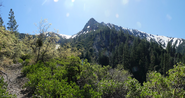 12: trees and mountains