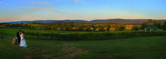 Veramar Vineyard Panoramic Photo Bride Groom