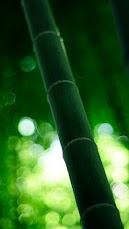 Packs Nature Tree Montain Iphone Wallpapers