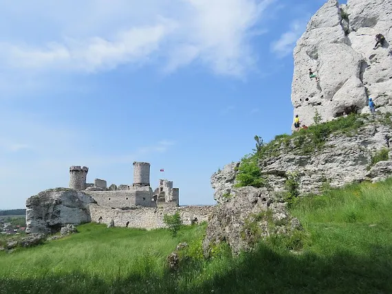 Widok na zamek spod Niedźwiedzia