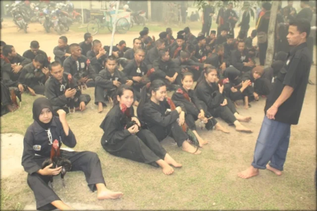 <a href="https://pshteratemas.blogspot.com/"><img src="Ritual-Ayam-Jago-Warga-PSHT-2.jpg" alt="Ritual Ayam Jago Pengesahan Warga PSHT"></a>