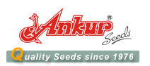 ANKUR SEEDS