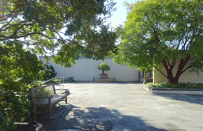 National Bonsai and Penjing Museum