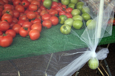 Farmers market tomatoes