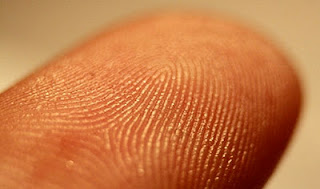 'BIOMETRICS' - A FLAWED TECHNOLOGY