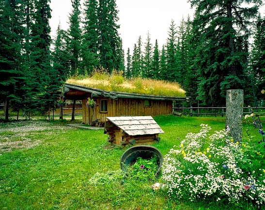 Green roof in Alaska