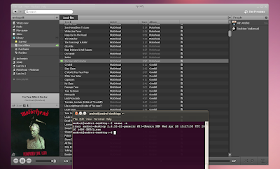 spotify 0.4.3 ubuntu under wine