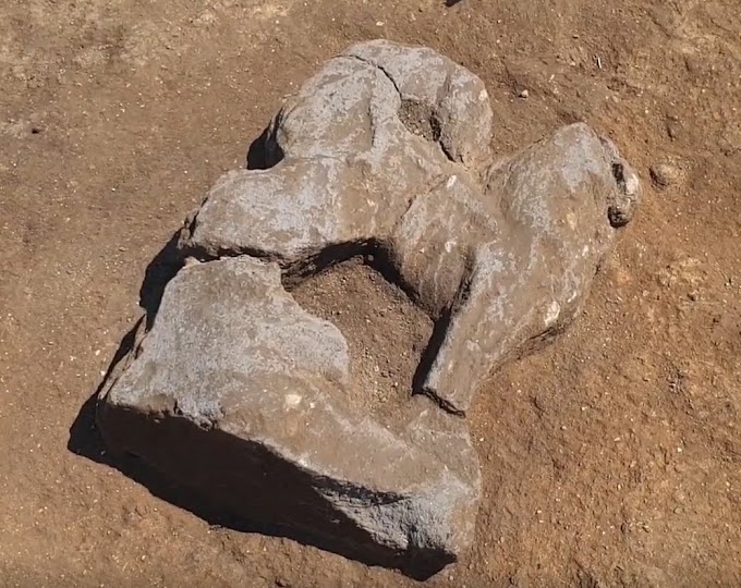 Φτερωτό αιλουροειδές (Σφίγγα ή Γρύπας)  βρέθηκε σε ανασκαφές του Τυρρηνικού Vulci