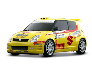 Suzuki Swift Rally Car 2005 (1)