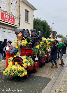 fête mimosa Saint-Trojan-les-Bains (17)