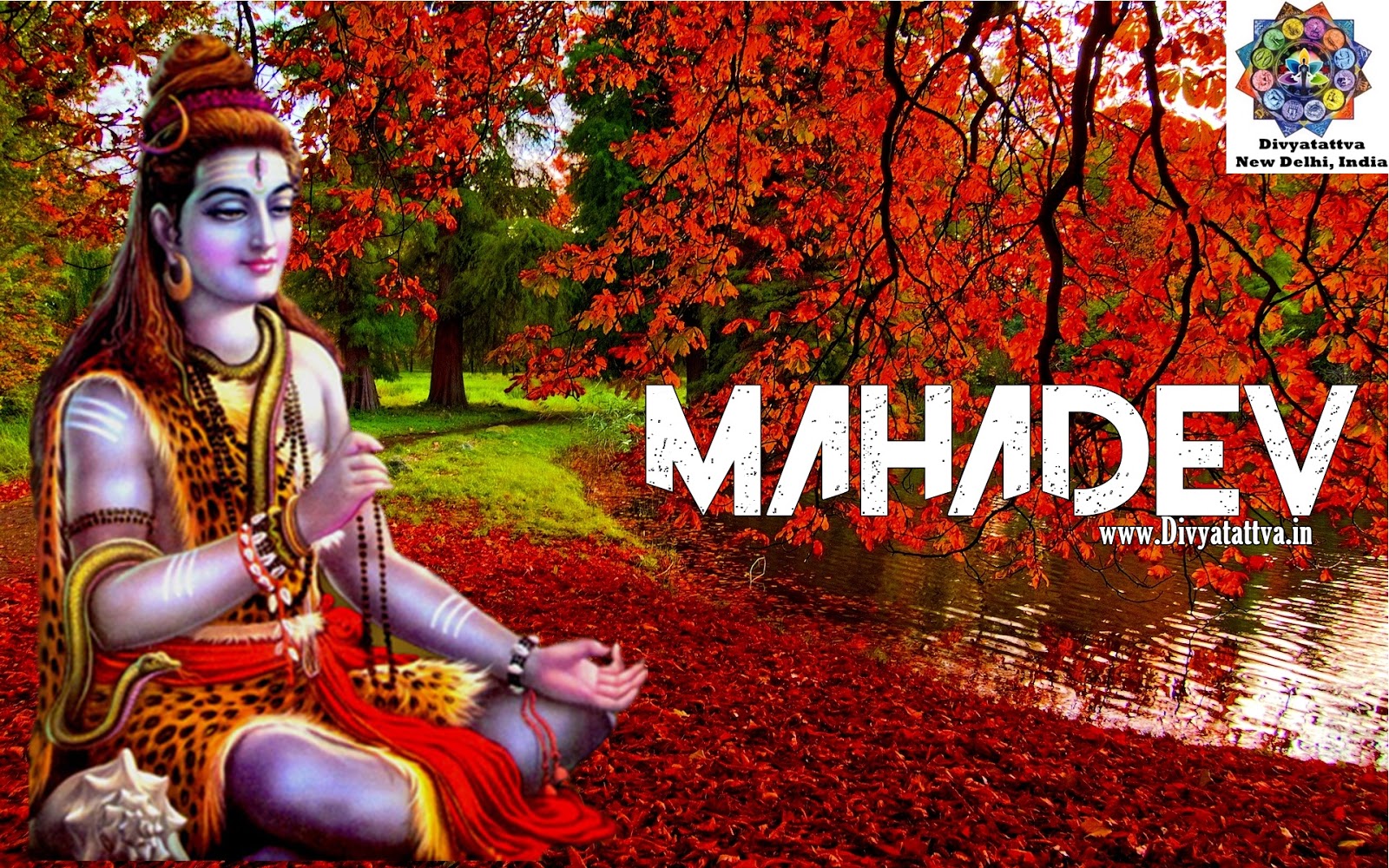 Mahadev 1080P Wallpaper Download - Mahadev Ultra HD Desktop Background Wallpaper for 4K UHD TV ...