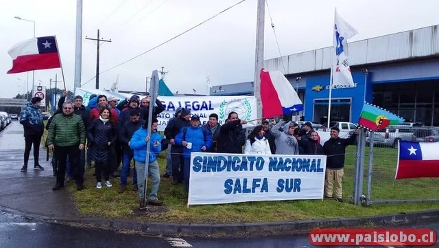 Trabajadores Salfa Sur