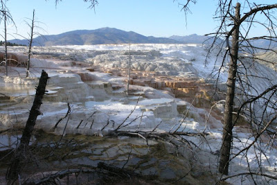 Mammoth Hot Springs: terrazze calcaree percorse dall'acqua di sorgente.