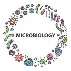 Pharma Microbiology