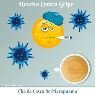 Receita Contra Gripe: Chá da Casca de Marapuama