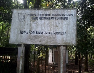 Hutan Kota Universitas Indonesia, Depok