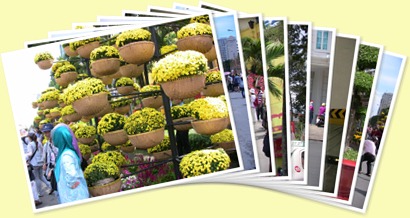 View album
