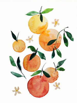 orange citron lemon fruit aquarelle watercolor