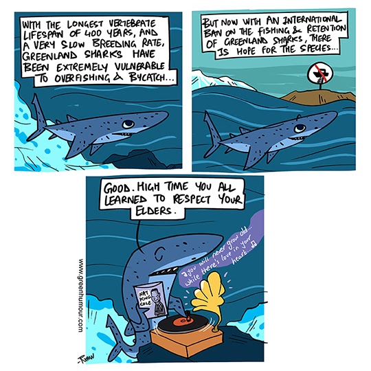 Green Humour: Greenland Shark Fishing Ban