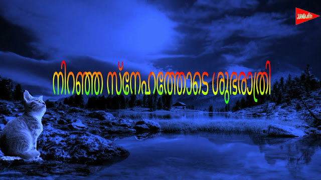 Beautiful Good Night Malayalam Images & Quotes in 2023