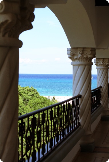 view