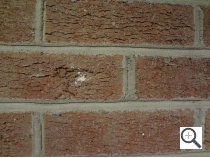 Sony WX9 Sample Image
