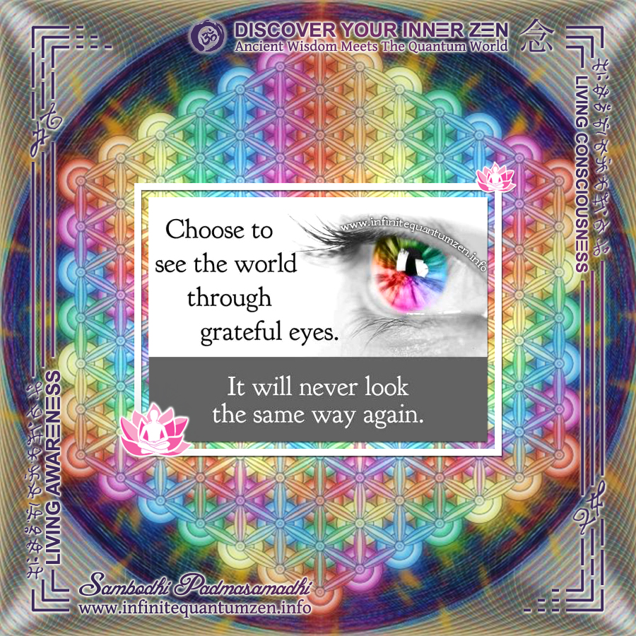 Choose to See the world through Grateful Eyes - It will never look the same way again - Infinite Quantum Zen, Success Life Quotes