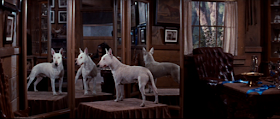 Wildfire in It's a Dog's Life (1955)