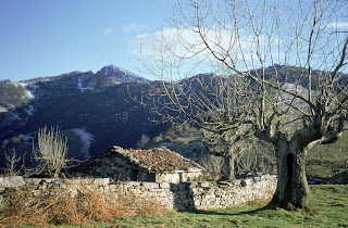 Picu de Riegos y Monte de Pandu Grande desde Fresnu