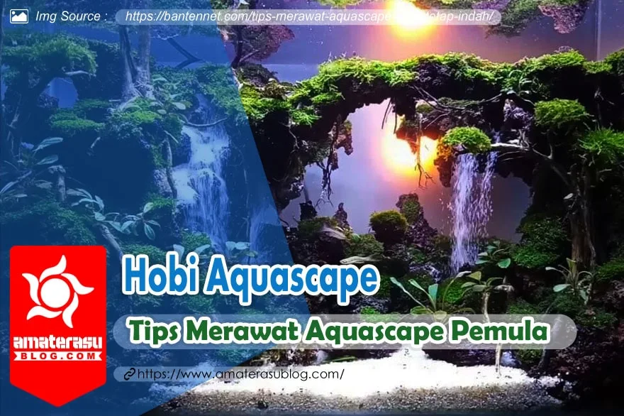 10-tips-cara-merawat-aquascape-untuk-pemula