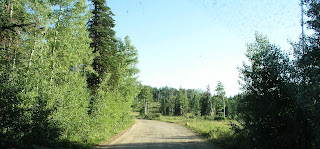 Road 59 in Uinta Wasatch Cache National Forest Ogden Ranger District Monte Cristo area