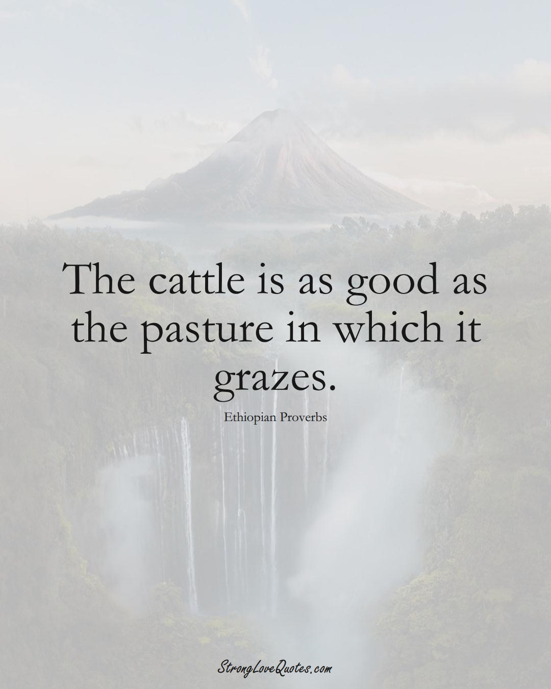 The cattle is as good as the pasture in which it grazes. (Ethiopian Sayings);  #AfricanSayings