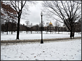 Invierno 2013-2014 Boston Common