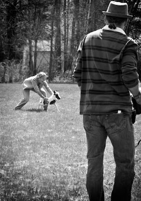 Einstein - The World's Smallest Horse Seen On lolpicturegallery.blogspot.com