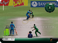 EA Cricket 2013 Screenshot 3