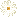 fleurblan