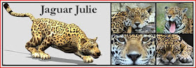 jaguarjulie website photographic header