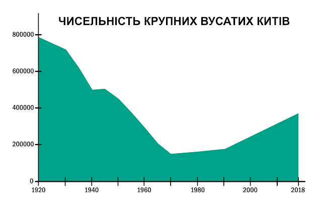 Зміна чисельності деяких видів великих китоподібних (кількість особин)