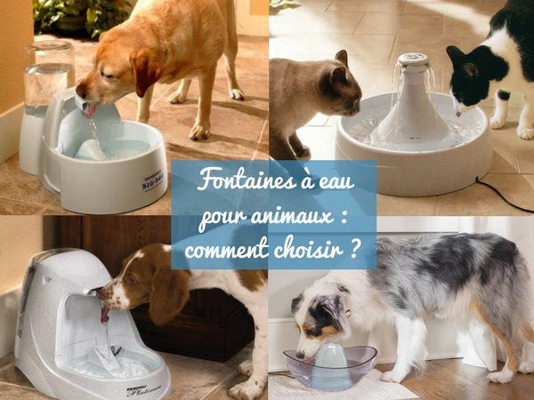 https://www.lacompagniedesanimaux.com/materiel/confort.html?specie=1992&type_produit=7466