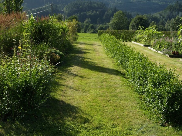 2012-08-05 Hagen på Møll (103)