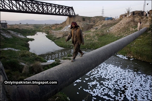 Funny Pakistani Bridge pic