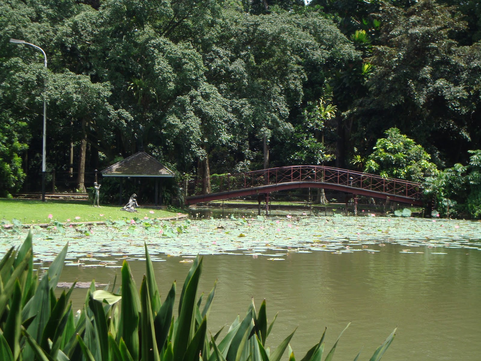 mosesrosa Kebun  Raya  Bogor  dan Istana Bogor 