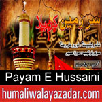 https://humaliwalaazadar.blogspot.com/2019/09/payam-e-hussaini-nohay-2020.html
