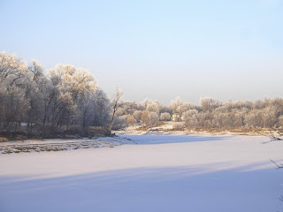 Šuma, snijeg, zima slike besplatne pozadine za desktop free download hr