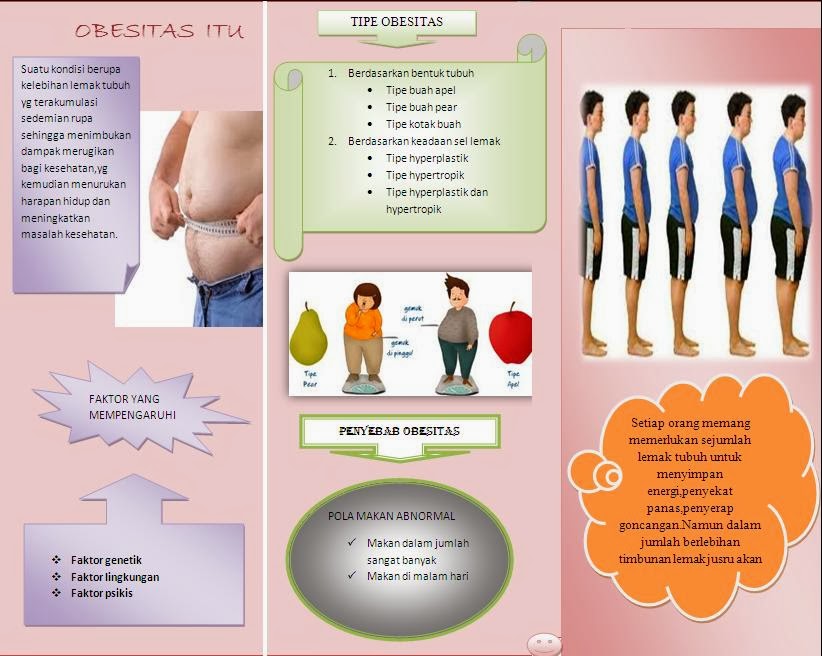 Kesehatan: Contoh Reflet Obesitas - Promosi kesehatan D3 
