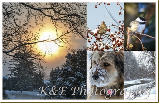 PicMonkey CollageDecember 2013