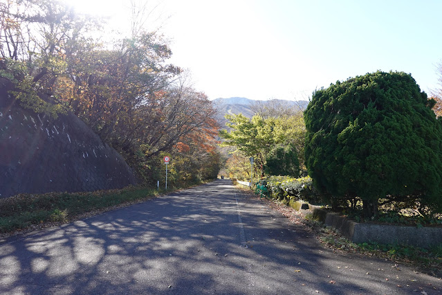 鳥取県西伯郡大山町豊房 大山環状道路