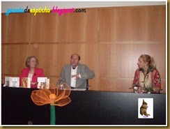O desenvolvimento das Ruas de Espinho003Gazeta de Espinho