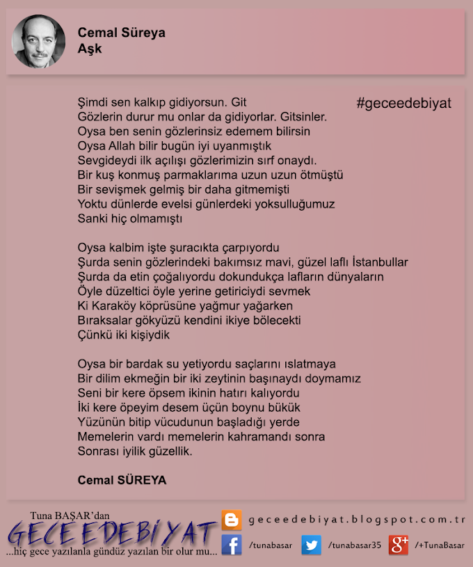 Günün Şiiri -5- / Aşk - Cemal Süreya